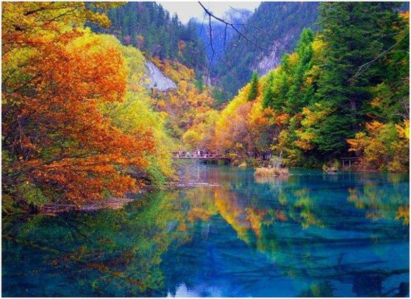 微信图片_20201103215501