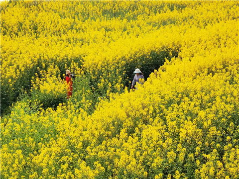 微信图片_20210222141823