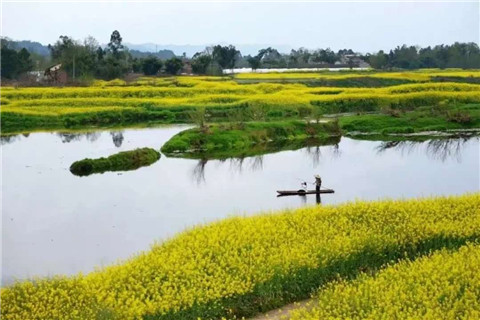 微信图片_20210222141841