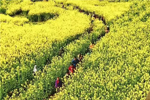 微信图片_20210222141837