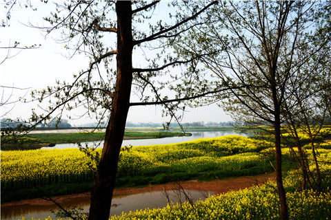 微信图片_20210222141847