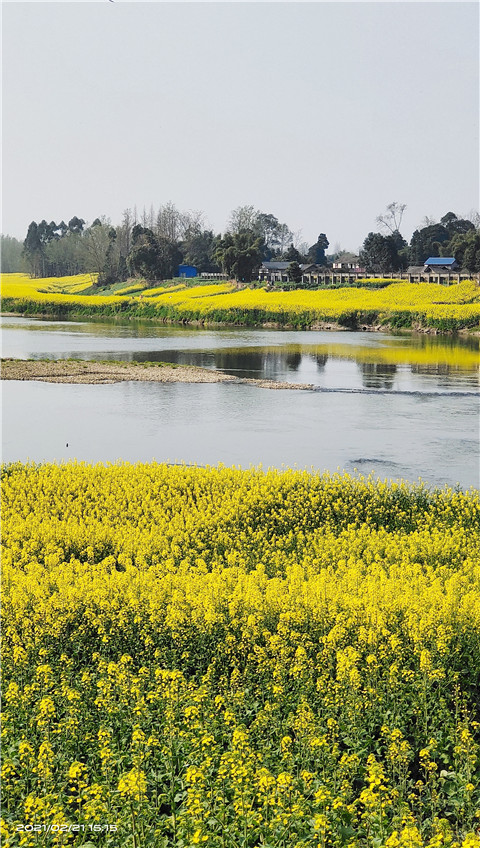 微信图片_20210222141832