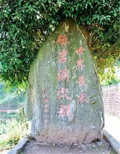 微信图片_20210910232232