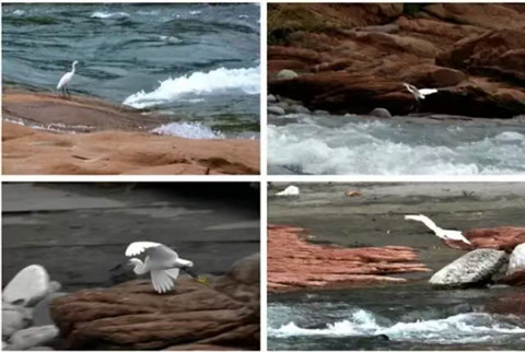 微信图片_20210910232032