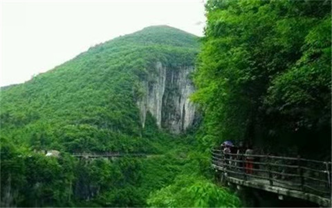 微信图片_20210930201611