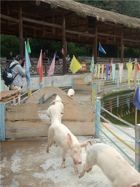 微信图片_20210930182425