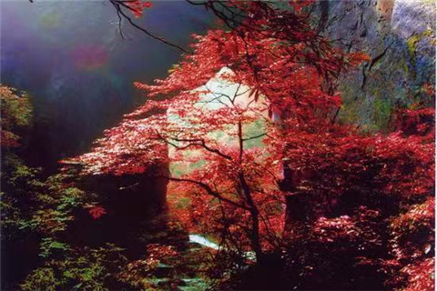 微信图片_20210930182618