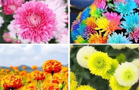 微信图片_20211006214325