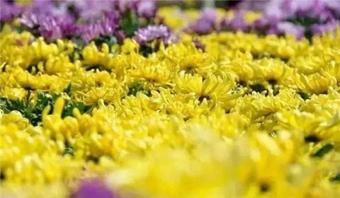 微信图片_20211006214309