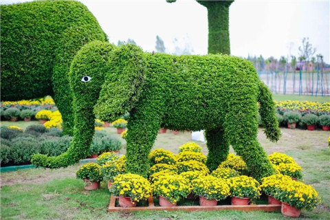 微信图片_20211006214313