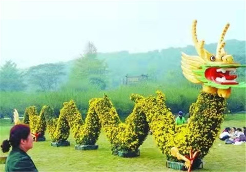 微信图片_20211006214246