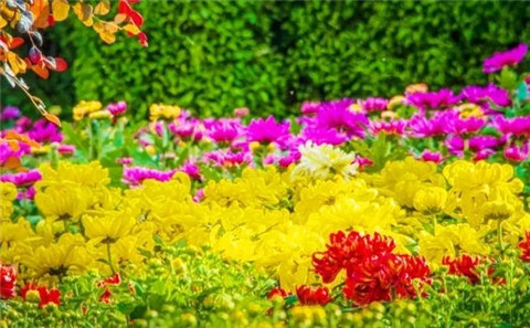 微信图片_20211006214317