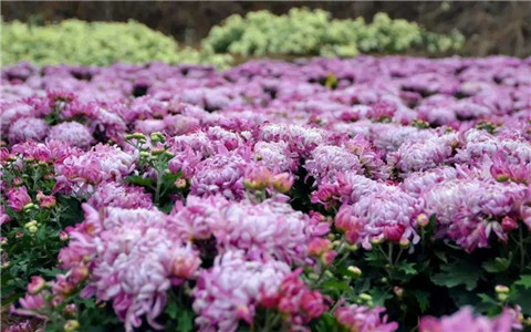 微信图片_20211006214335