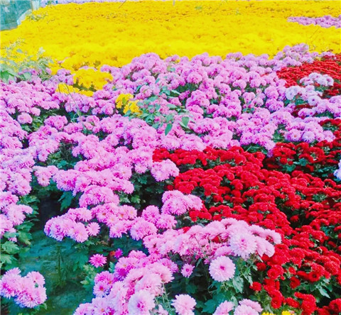 微信图片_20211006214303