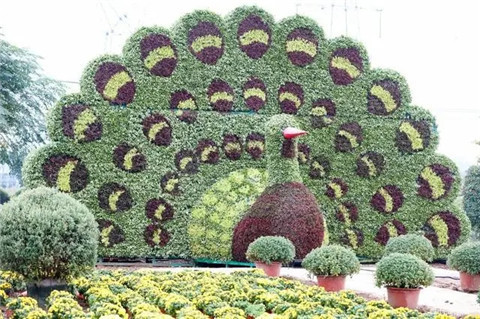 微信图片_20211006214259