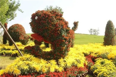 微信图片_20211006214332