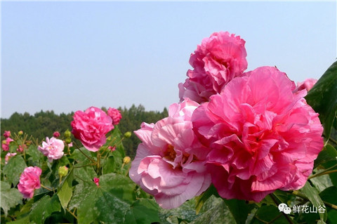 微信图片_20211010211046