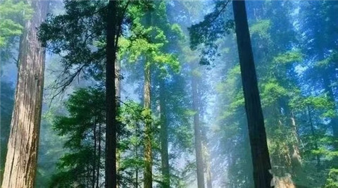 微信图片_20211010210932