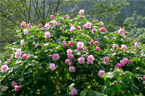 微信图片_20211010211008