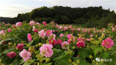 微信图片_20211010211144