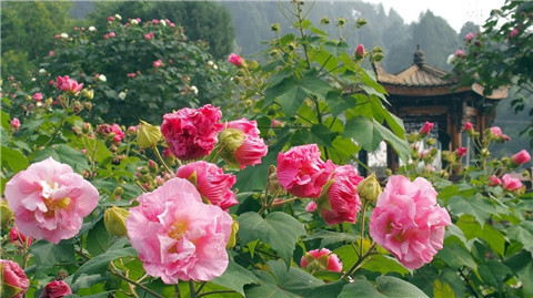 微信图片_20211010211050