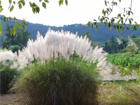 微信图片_20211010210955