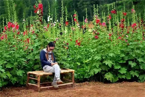 微信图片_20211010212356