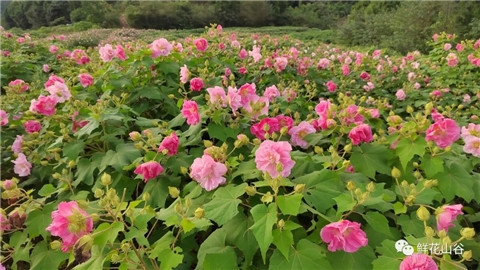 微信图片_20211010211139