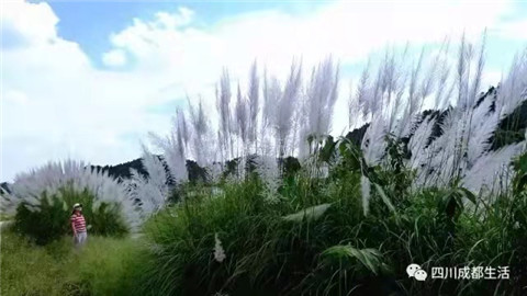 微信图片_20211010212351