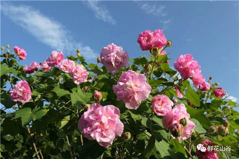 微信图片_20211010211058