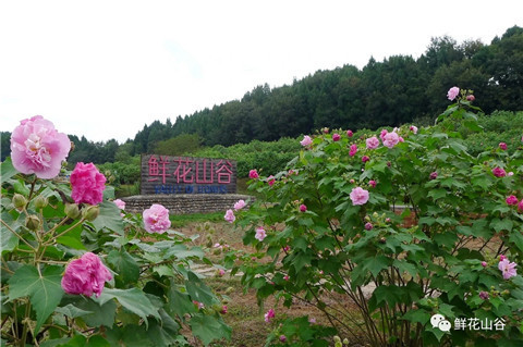 微信图片_20211010211149