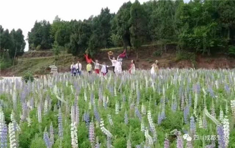 微信图片_20211010212338