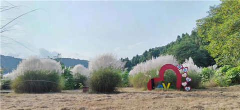 微信图片_20211010210951