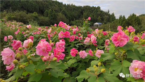 微信图片_20211010211102