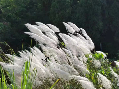 微信图片_20211010210959