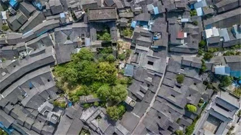 微信图片_20211012170722