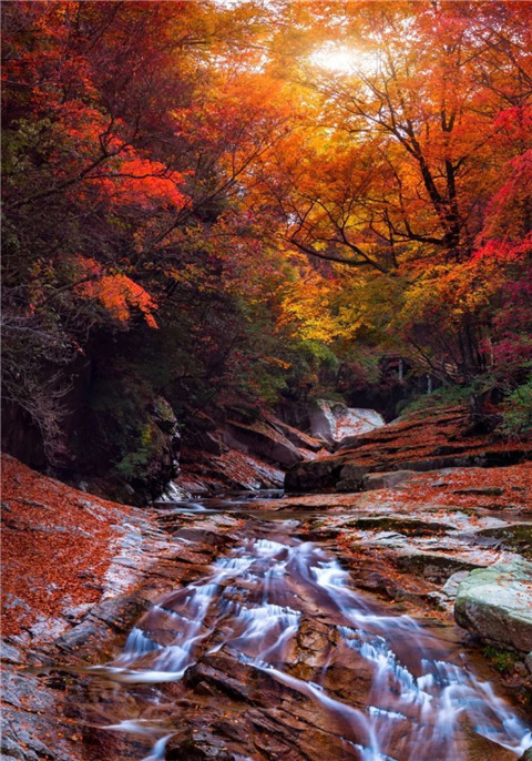 微信图片_20211013103617