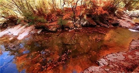 微信图片_20211013103610