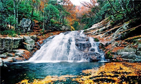 微信图片_20211013103614