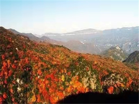 微信图片_20211012170525