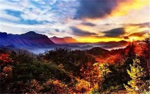 微信图片_20211012170503