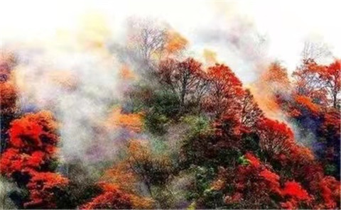 微信图片_20211012170548