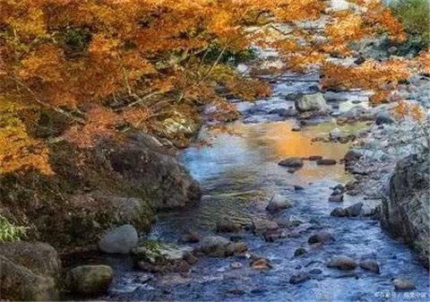 微信图片_20211012170521