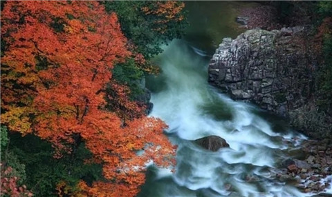 微信图片_20211013103555