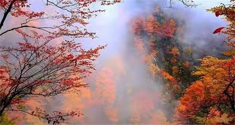 微信图片_20211012170536