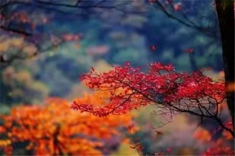 微信图片_20211012170455