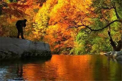 微信图片_20211012170532