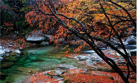 微信图片_20211013103606