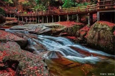 微信图片_20211012170459