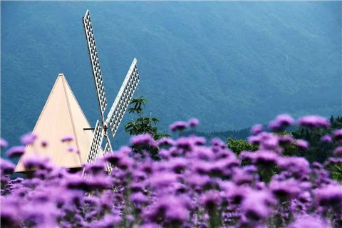 微信图片_20220731225251